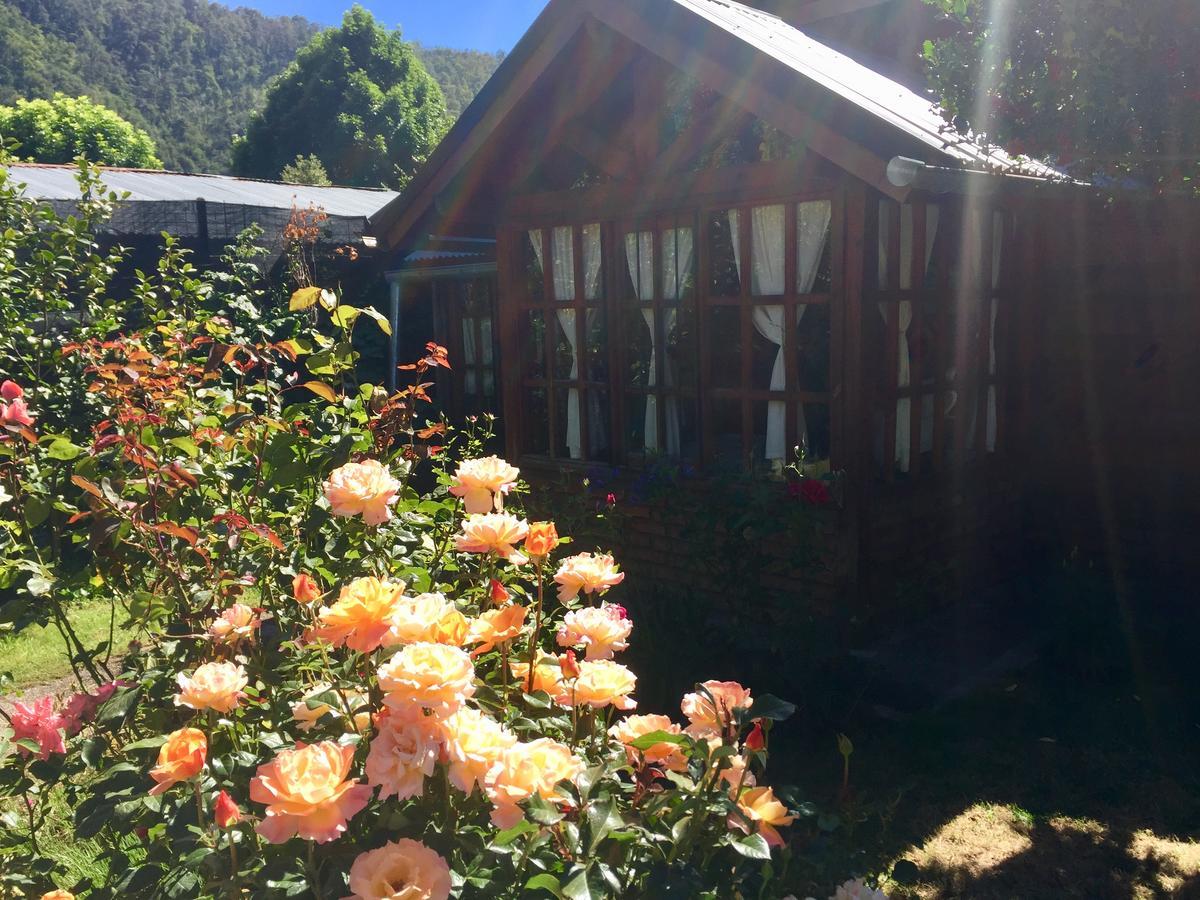 Tu Cabana San Martín de los Andes Eksteriør bilde